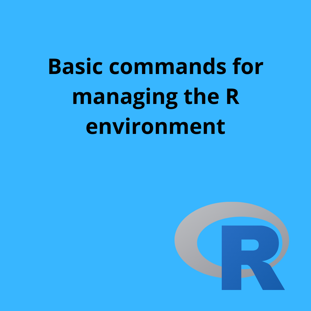 R environment commands